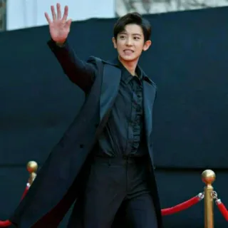 🌙 Coreano, Ator, Moda, Tapete vermelho, Celebridade telegram sticker