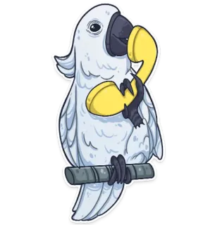 📞 kakadu, papuga, ptak, telefon, zwierzę, kreskówka, naklejka telegram sticker
