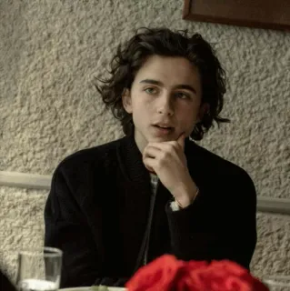 🕊 Timothée Chalamet diễn viên, người nổi tiếng, chân dung, người telegram sticker