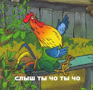 🐔 rooster слыш ты чо ты чо telegram sticker