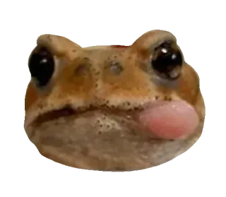 ❤️ rã, animal, anfíbio, sapo whatsapp sticker