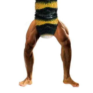 🐝 telegram sticker