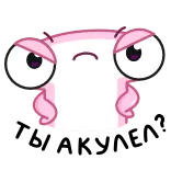 😠 pianka, zły, słodki, kreskówka, postać, różowy, oczy, wyraz telegram sticker