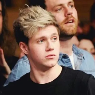 😏 Niall Horan Niall Horan, Celebridad, Cantante, One Direction telegram sticker