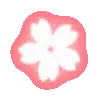 🌸