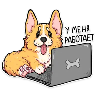 🤷‍♂️ У МЕНЯ РАБОТАЕТ corgi, anjing, laptop, kartun telegram sticker