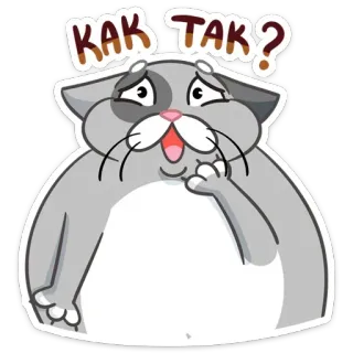 ☹️ KAK TAK? 猫, 贴纸, 问题, 表情, 俄语 telegram sticker