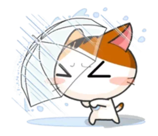 🙀 Katze, Regenschirm, Regen, süß, kawaii, Cartoon telegram sticker