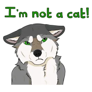 😾 I'm not a cat! lobo, animal, dibujo animado, husky, gracioso, mascota, perro whatsapp sticker