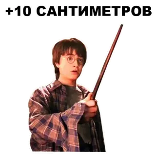 👩‍👦 Harry Potter +10 САНТИМЕТРОВ harry potter, baguette, magie, ado, fantastique, sorcier telegram sticker