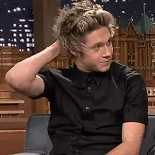 🌙 Niall Horan Sänger, Promi, One Direction, Popstar, Niall Horan telegram sticker