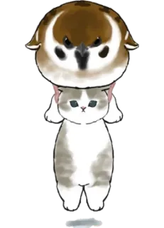 🦅 gato, pássaro, fofo, animal, desenho animado telegram sticker