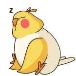 Birdie the Parrot @TgSticker whatsapp stickers