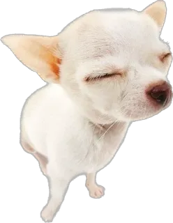 @emojis4 telegram stickers