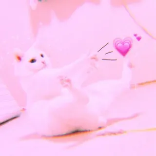 🐾 Katze, süß, Herz, Emoji, rosa, weiß, entzückend, Haustier whatsapp sticker