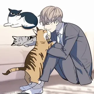 🌩 мужчина, кот, милый, аниме, питомец, животное, мультфильм whatsapp sticker