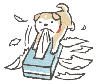 😈 cachorro, lenço, papel, fofo, filhote, animal, shiba inu whatsapp sticker
