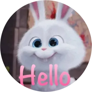 👋 Hello coniglio, carino, saluto, animale, cartone animato whatsapp sticker