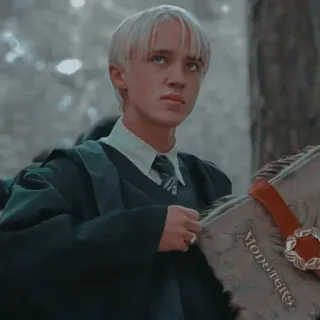 🐾 Draco Malfoy Harry Potter MONSTERS 드레이코 말포이, 해리 포터, 괴물책, 슬리데린, 마법사, 마법 telegram sticker