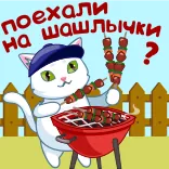 🔥 поехали на шашлычки ? cat, barbecue, skewers, meat, food, grilling, cartoon telegram sticker