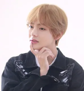 🤔 Person, Mann, Promi, Porträt, K-Pop, Idol telegram sticker