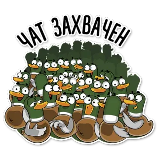 🐤 ЧАТ ЗАХВАЧЕН kaczki, zwierzęta, czat, inwazja, zabawne telegram sticker