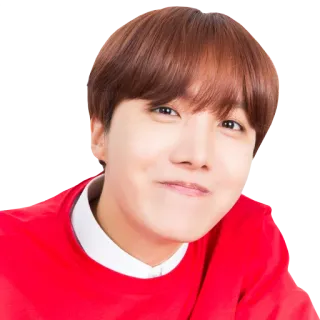 ☺️ J-Hope persona, uomo, kpop, cantante, bangtan, jhope whatsapp sticker