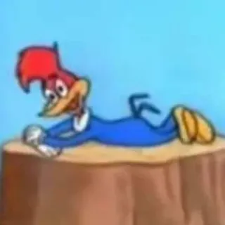 🦦 Woody Woodpecker การ์ตูน, วู้ดดี้ วู้ดเพ็กเกอร์, แอนิเมชัน, นก, ตลก, ตัวละคร telegram sticker