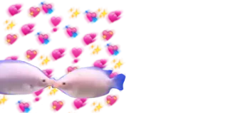 ❤️ fish, kissing, emoji, love, cute telegram sticker
