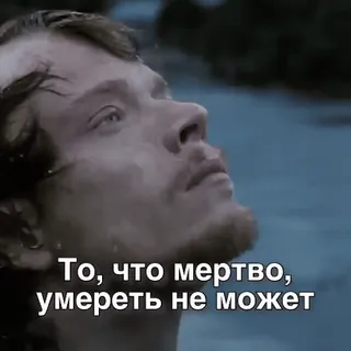 🙉 То, что мертво, умереть не может whatsapp sticker