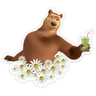 🥤 orso, cartone animato, fiori, bevanda, carino, animale, animato telegram sticker