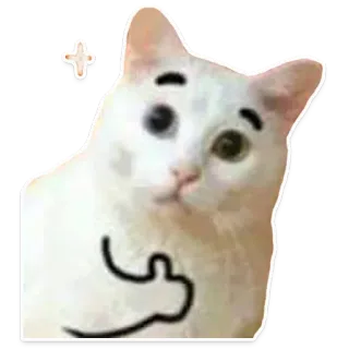 👍 gato, dedo corazón, ofensivo, gesto, animal, meme, pegatina telegram sticker
