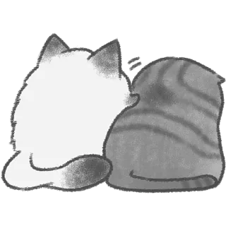🤗 kat, katten, sticker, dier, schattig, huisdier, huiskat whatsapp sticker