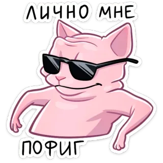 😎 ЛИЧНО МНЕ
ПОРИГ бингус, кот, солнцезащитные очки, наклейка, смешной, мем telegram sticker