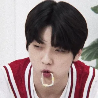 🎐 whatsapp sticker