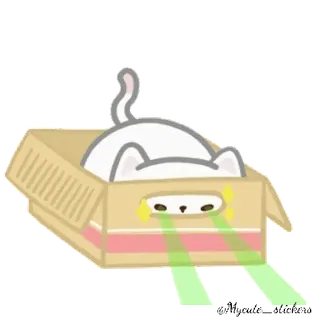 🐱 кот, коробка, милый, наклейка, животное, смешной whatsapp sticker