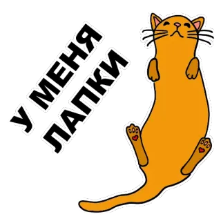 😾 У МЕНЯ ЛАПКИ gato, lindo, ruso, animal, pegatina telegram sticker