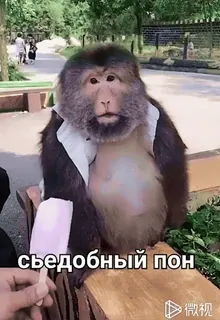 Поны | @fdegv | ебать чо это такое :: @fStikBot telegram stickers