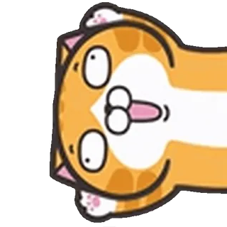 🐈