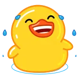 Duck whatsapp stickers