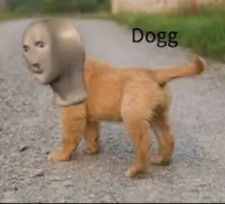🐶 Dogg chien, meme, animal, stonks, drôle, humour whatsapp sticker