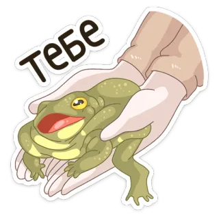 🤲 Тебе rã, mãos, presente, fofo, animal telegram sticker