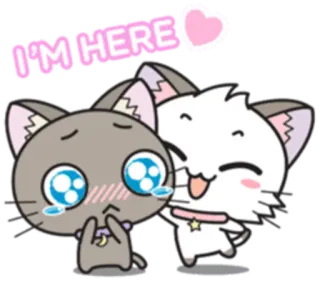 ❤ I'M HERE cat, cute, heart, sticker, animation whatsapp sticker