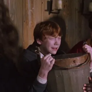 🦁 Ron Weasley Harry Potter 泣く, 悲しい, 怒り, ハリー・ポッター, ロン・ウィーズリー telegram sticker