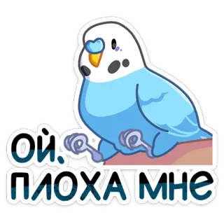 🥴 Ой, Плоха мне grasparkiet, vogel, papegaai, Russische tekst, schattig, sticker telegram sticker