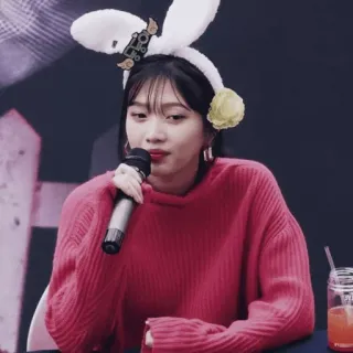 🎟 K-pop, orelhas de coelho, idol, cantor, suéter vermelho, microfone telegram sticker