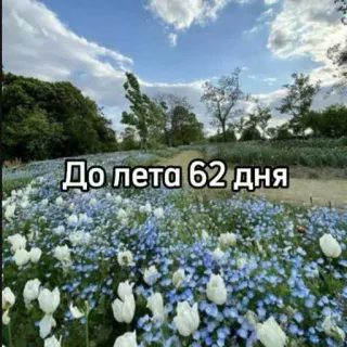 ☀️ До лета 62 дня naturaleza, flores, verano, cuenta atrás, días, paisaje telegram sticker