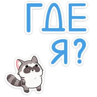 ❓ ГДЕ Я? szop, pytanie, zgubiony, kreskówka, zwierzę, rosyjski whatsapp sticker