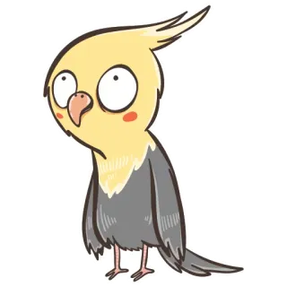 🙄 calopsitta, uccello, carino, animale, pappagallo, animale domestico, giallo telegram sticker