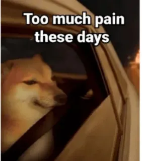 🥲 Cheems Doge memes Too much pain these days cheems, doge, sad, meme, pain, depression, car, shiba inu telegram sticker